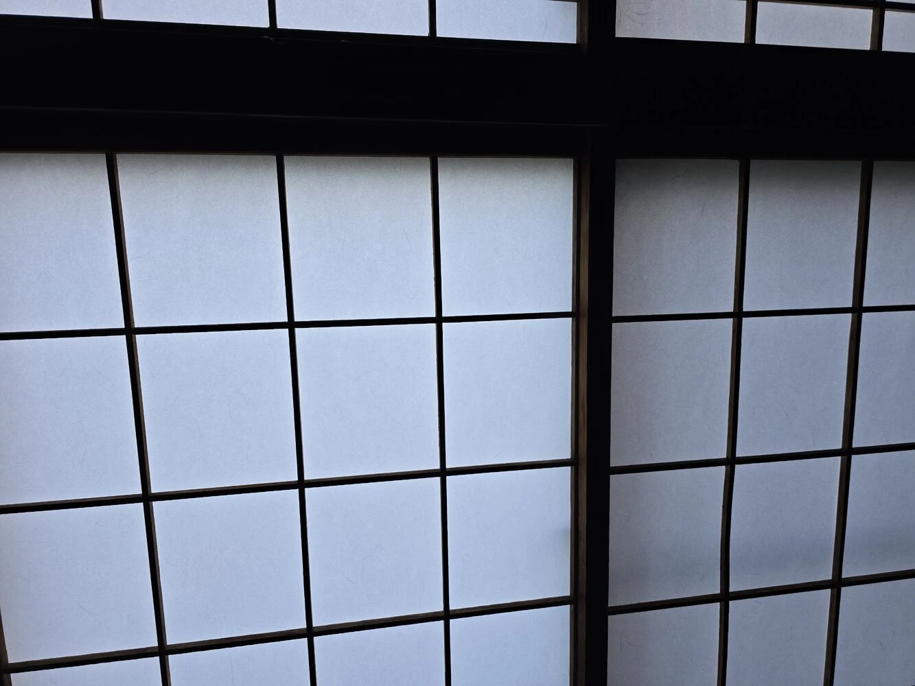 画像11351