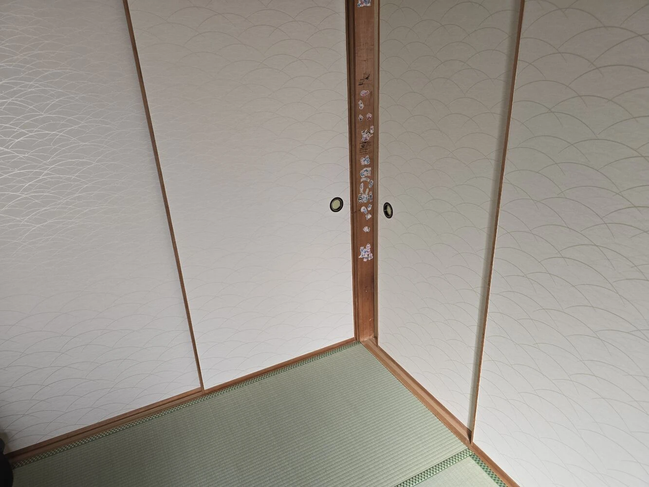 画像11455