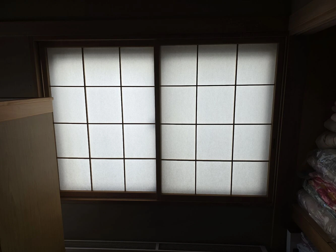 画像11481