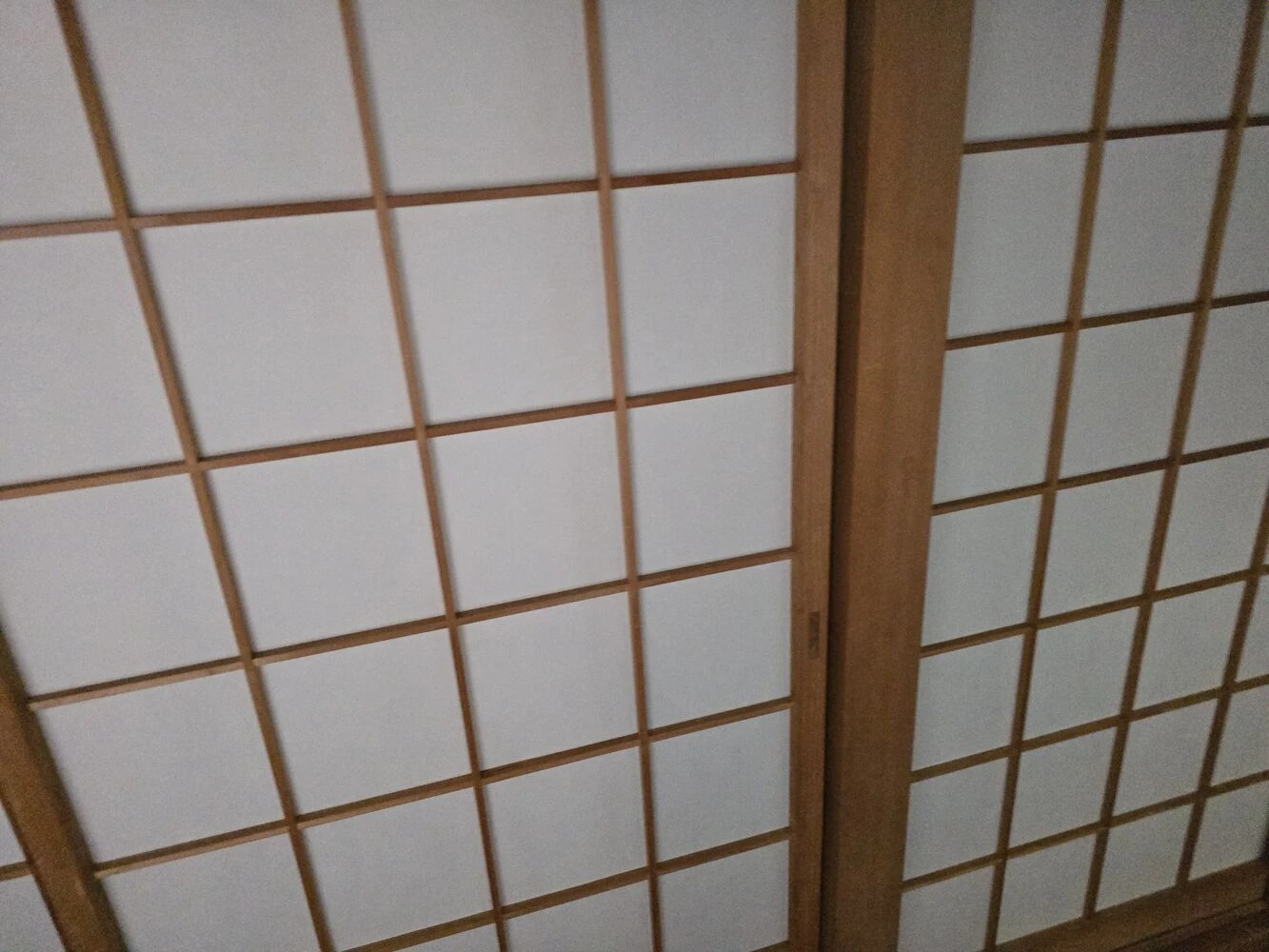 画像12075