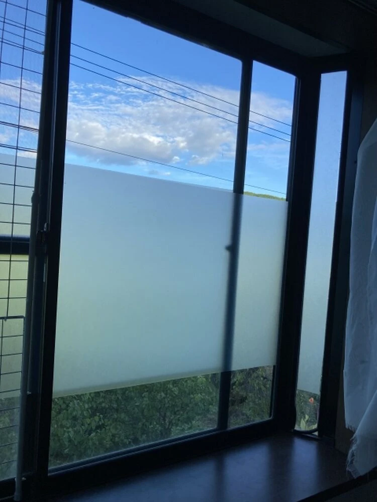 画像12694