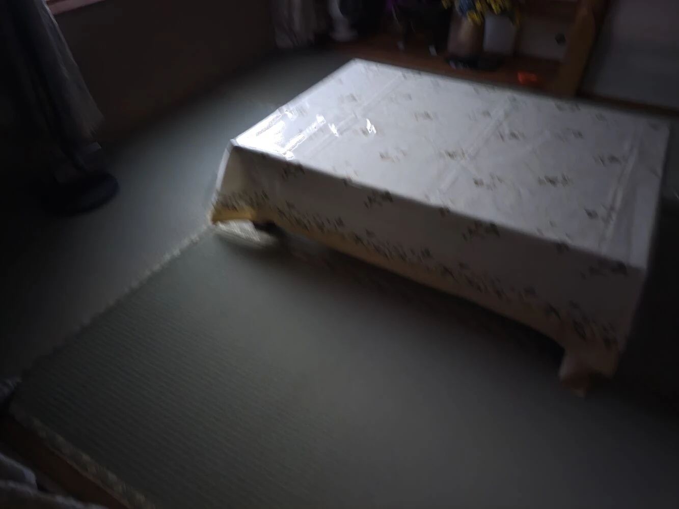 画像13569