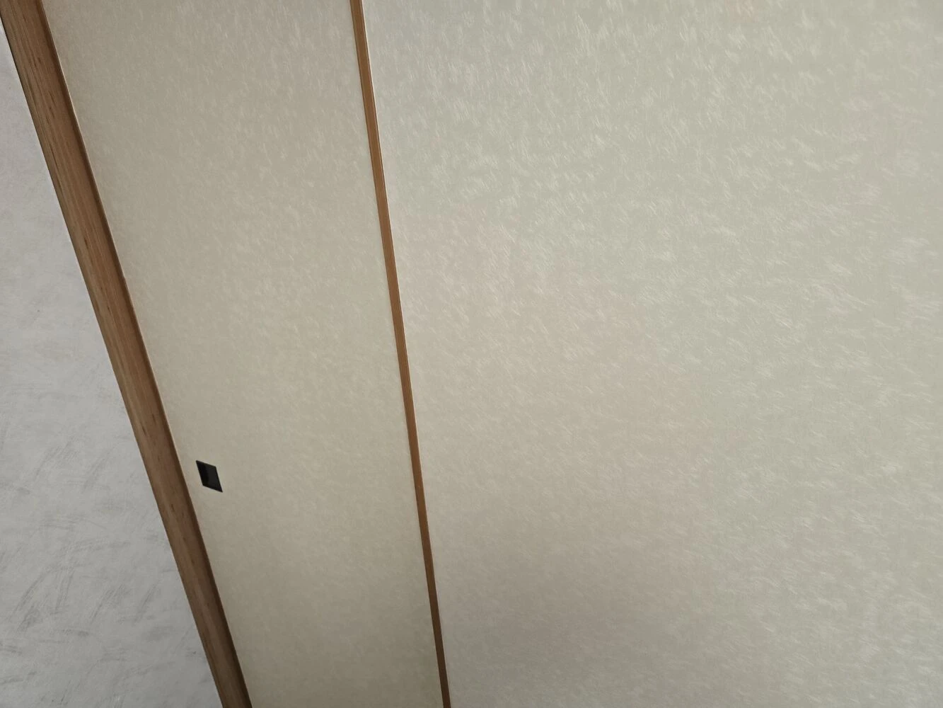 画像16464