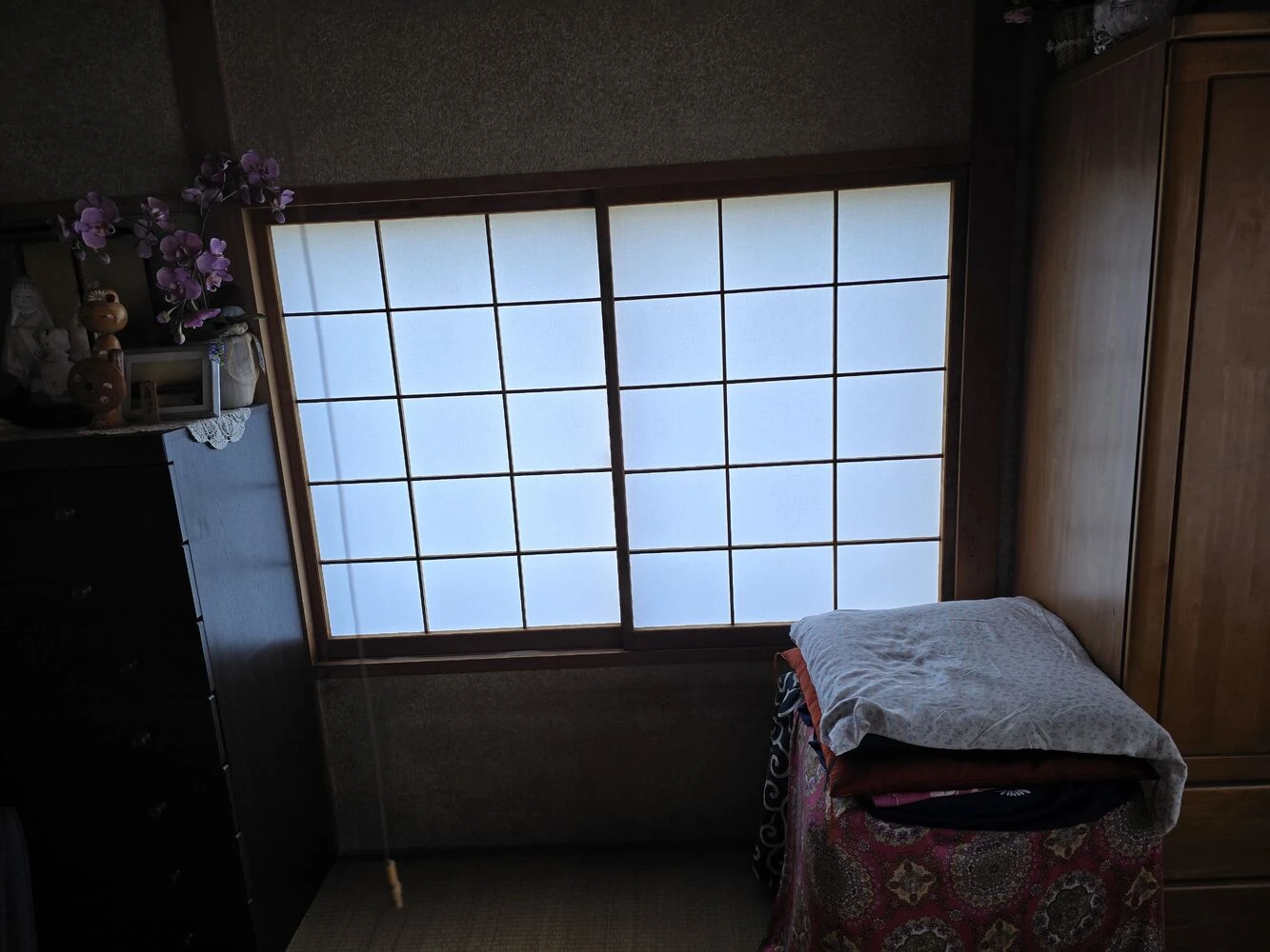 画像20145