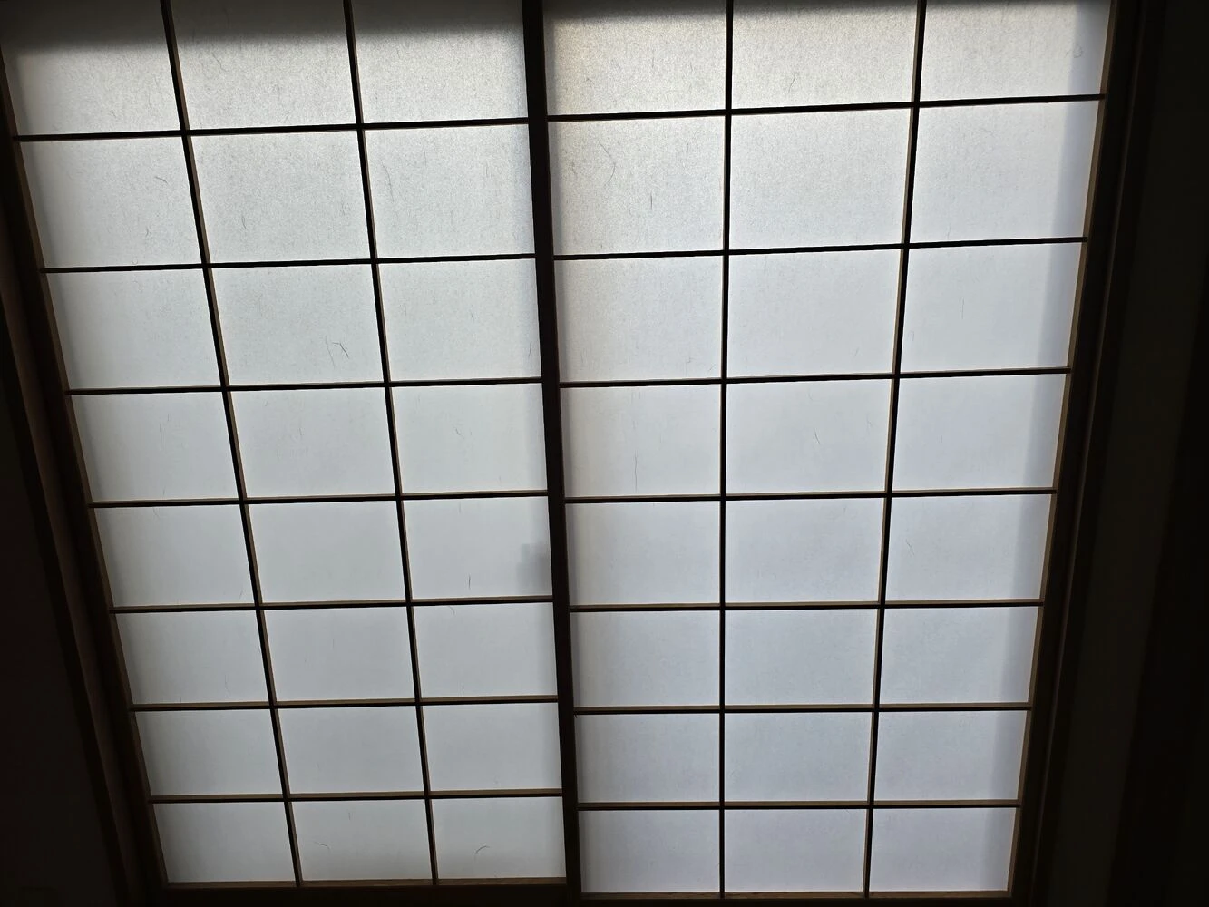 画像21190