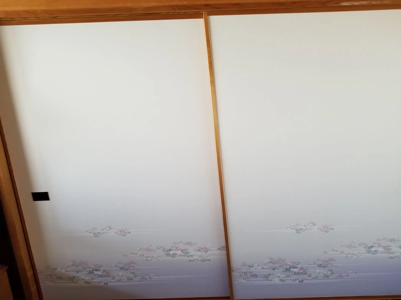 画像21905
