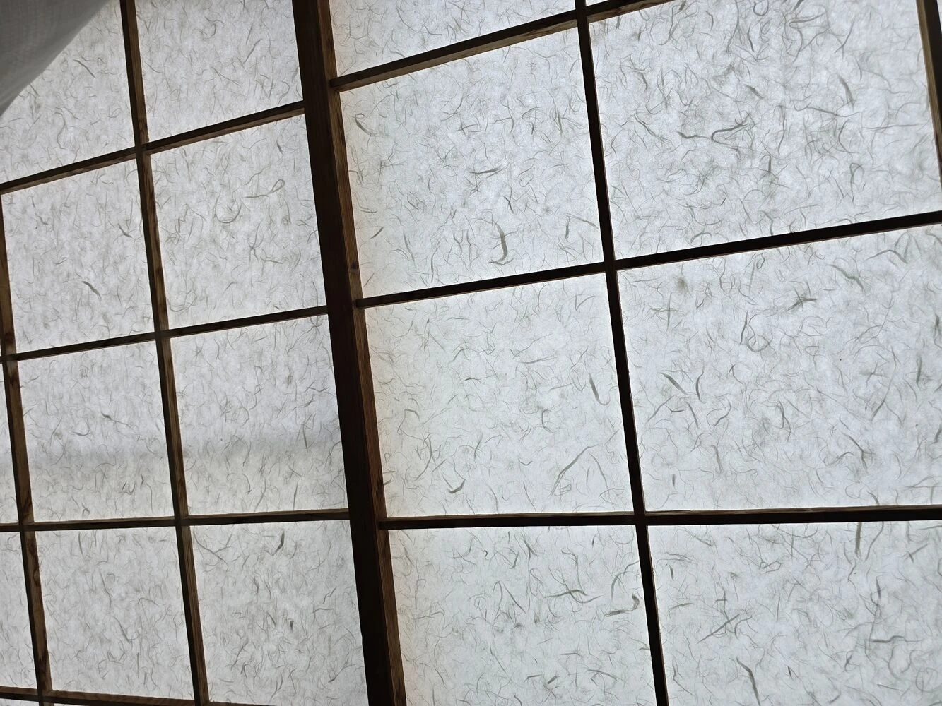 画像9395