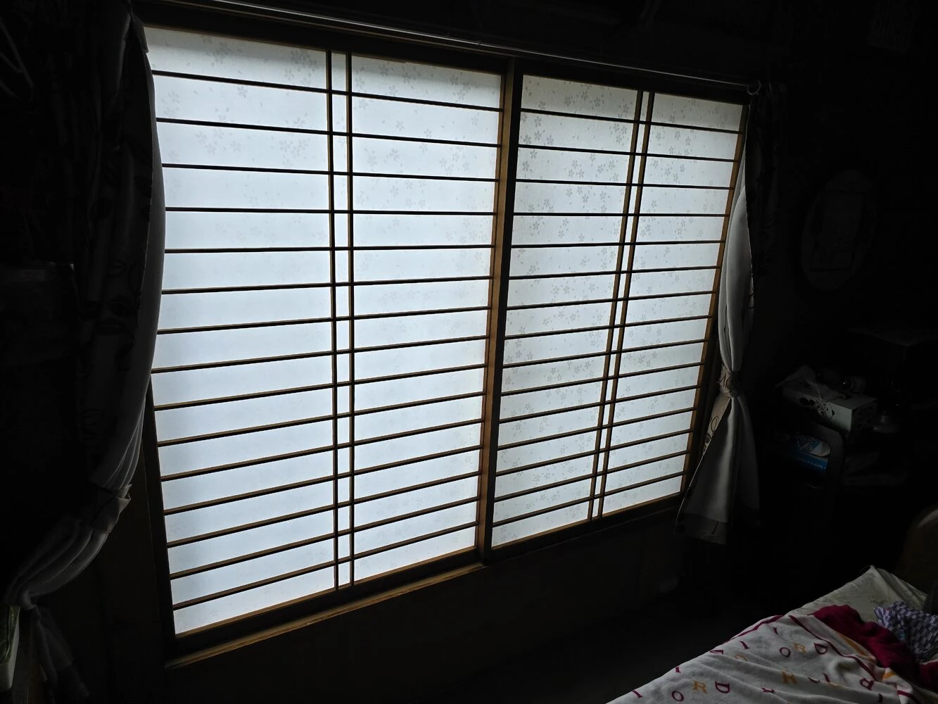 画像9523